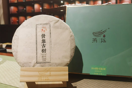2016 燕语有机营盘古树普洱生茶饼 - 2016 Yanyu Yingpan Organic Raw Pu'er Tea Cake